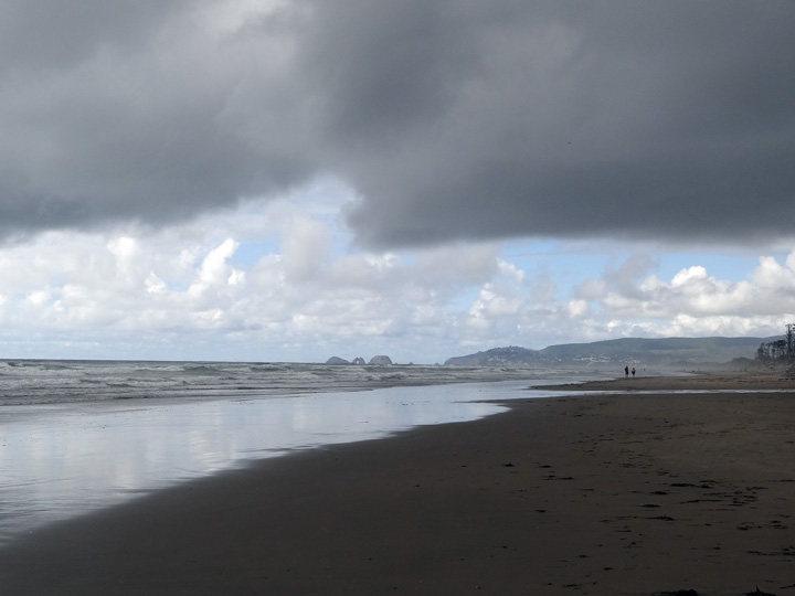 Reflections From the Fence Oceanside and Cape Lookout State Park
